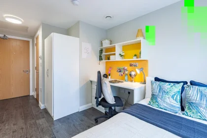 Stanza privata in Devon Street, immagine 2 di 45