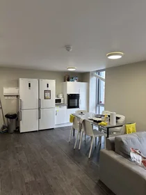 Stanza privata in Devon Street, immagine 14 di 45