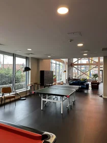 Stanza privata in Devon Street, immagine 24 di 45