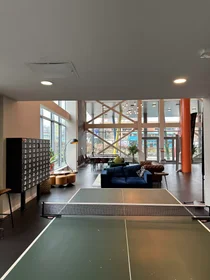 Stanza privata in Devon Street, immagine 26 di 45