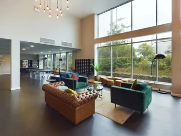 Stanza privata in Devon Street, immagine 37 di 45