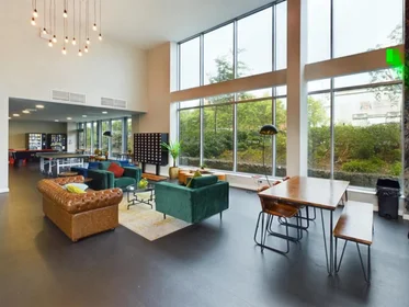 Stanza privata in Devon Street, immagine 38 di 45