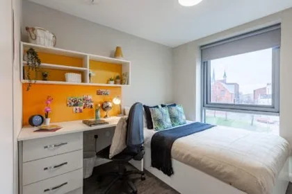 Stanza privata in Devon Street, immagine 6 di 45