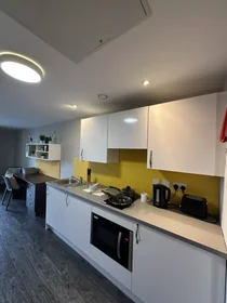 Stanza privata in Devon Street, immagine 8 di 45