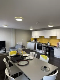 Stanza privata in Devon Street, immagine 10 di 45