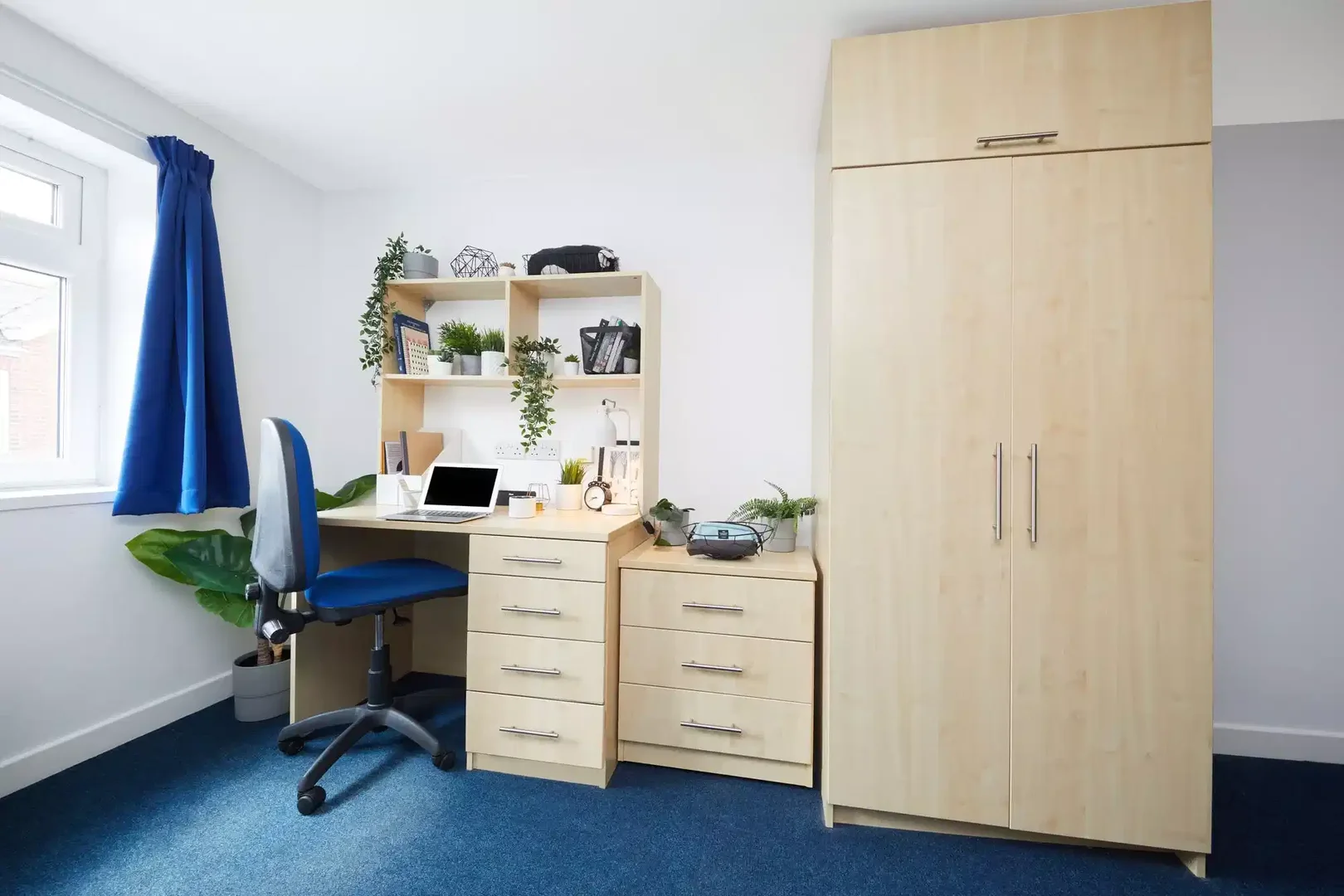 Cozy room for students available in 