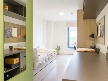 Stanza privata in Dun Holm House - Student Accommodation Durham, immagine 18 di 31