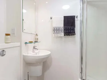 Stanza privata in Dun Holm House - Student Accommodation Durham, immagine 20 di 31