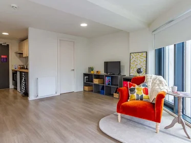 Stanza privata in Dun Holm House - Student Accommodation Durham, immagine 21 di 31