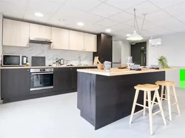 Stanza privata in Dun Holm House - Student Accommodation Durham, immagine 22 di 31