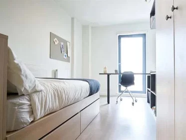 Stanza privata in Dun Holm House - Student Accommodation Durham, immagine 25 di 31