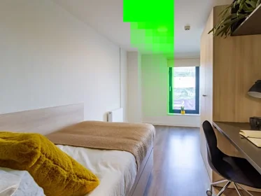 Stanza privata in Dun Holm House - Student Accommodation Durham, immagine 4 di 31
