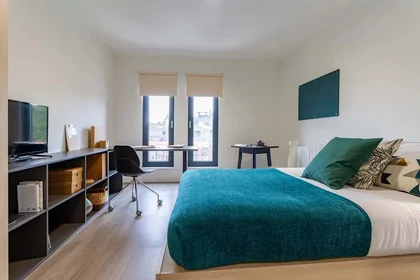 Stanza privata in Dun Holm House - Student Accommodation Durham, immagine 6 di 31