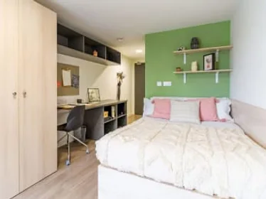 Stanza privata in Dun Holm House - Student Accommodation Durham, immagine 1 di 10