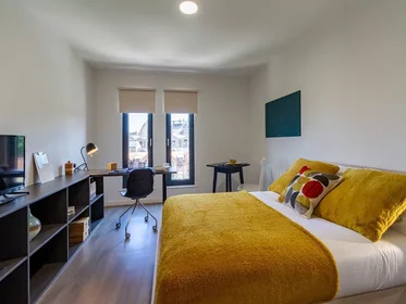Kawalerka Dun Holm House - Student Accommodation Durham, obraz 1 10