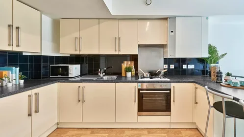 Stanza privata in Wilmott Street, immagine 6 di 16