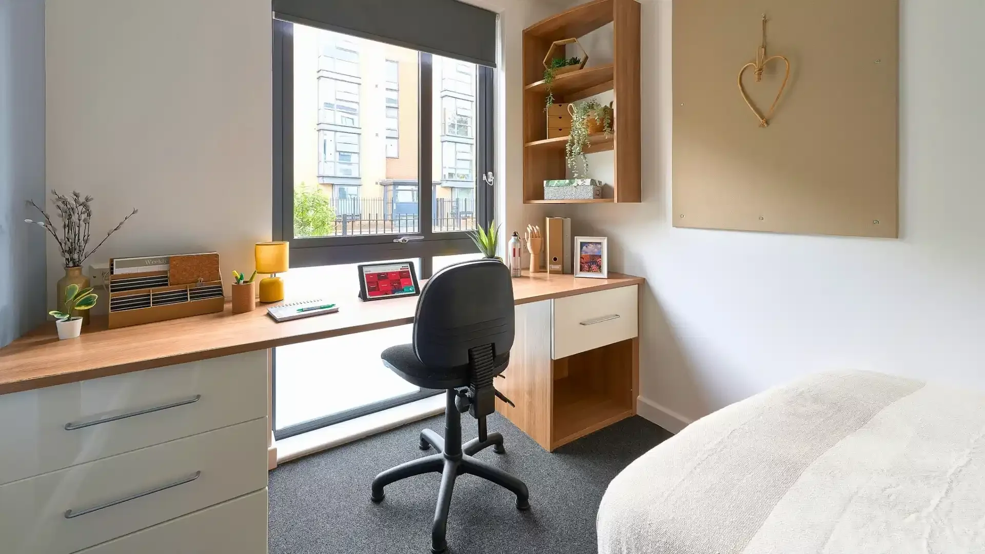 Stanza economica per studenti con ampia illuminazione in 