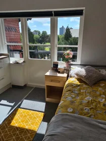 Privatzimmer in der Regent Road, bild 28 von 42