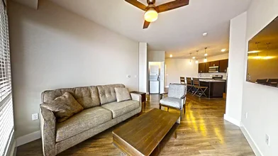 Stanza privata in East Green Street, immagine 39 di 49