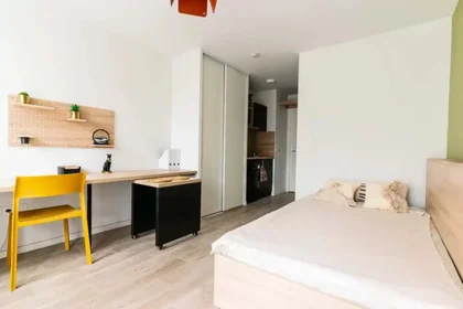 Kawalerka Boulevard Albert 1er, obraz 1 10