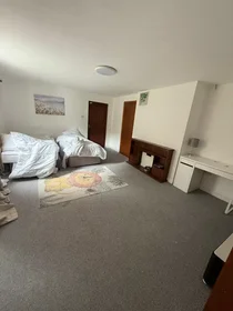 Chambre privée à Taylor's Hill Road, image 3 de 29