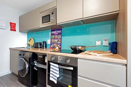 Chambre privée à Commercial Road, image 44 de 49