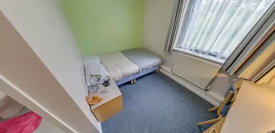 Privatzimmer in der Easby Road, bild 15 von 49