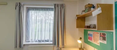 Privatzimmer in der Easby Road, bild 49 von 49