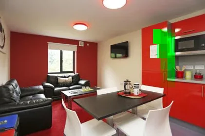 Chambre privée à Parham Road, image 5 de 17