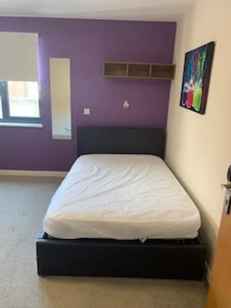 Student-friendly room in with modern amenities
