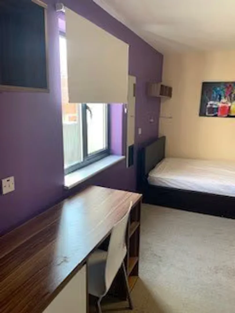 Cozy room for students available in