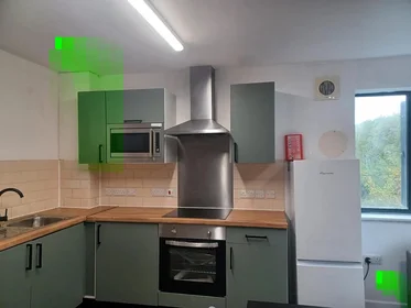 Stanza privata in Parham Road, immagine 11 di 23