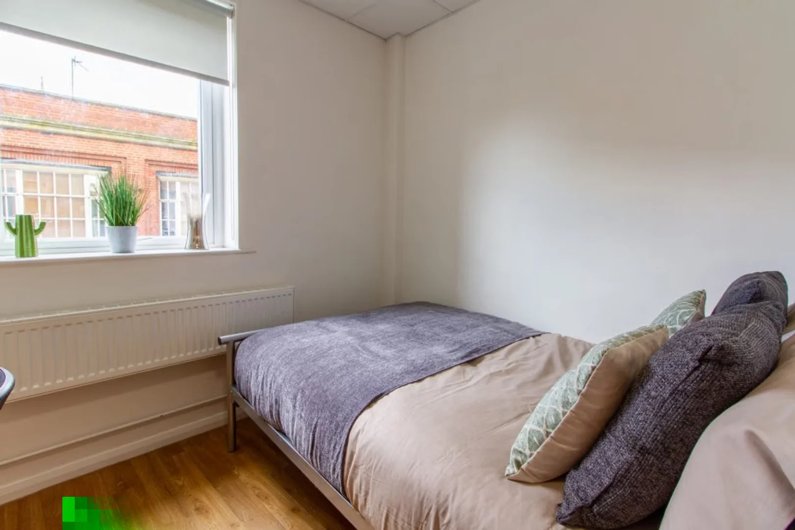 Comfortable and spacious student room in