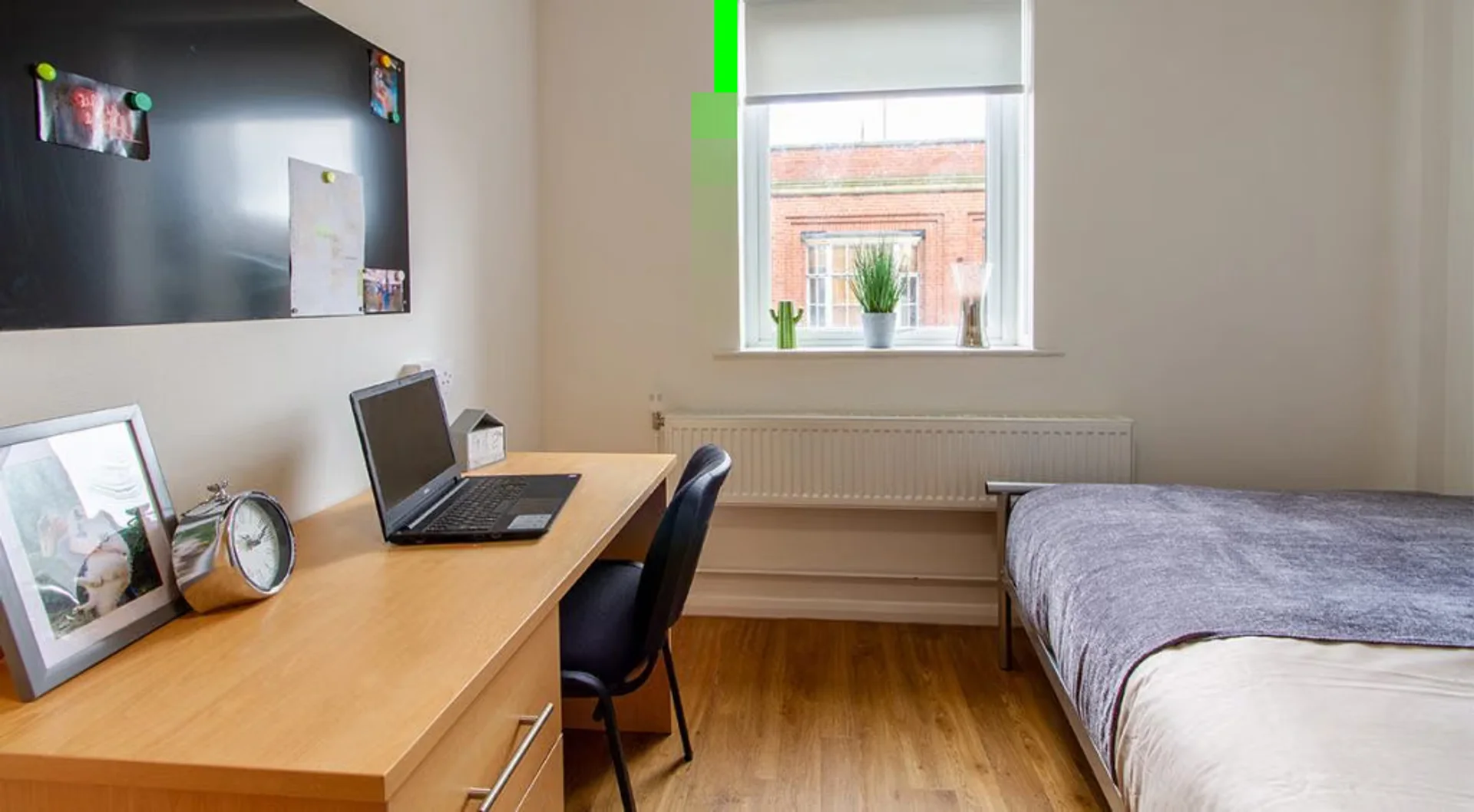 Student-friendly room in with modern amenities