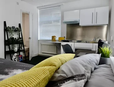Private room at Upper Park Road, image 21 of 44