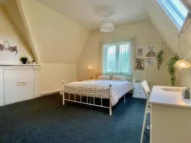 Private room at Upper Park Road, image 42 of 44