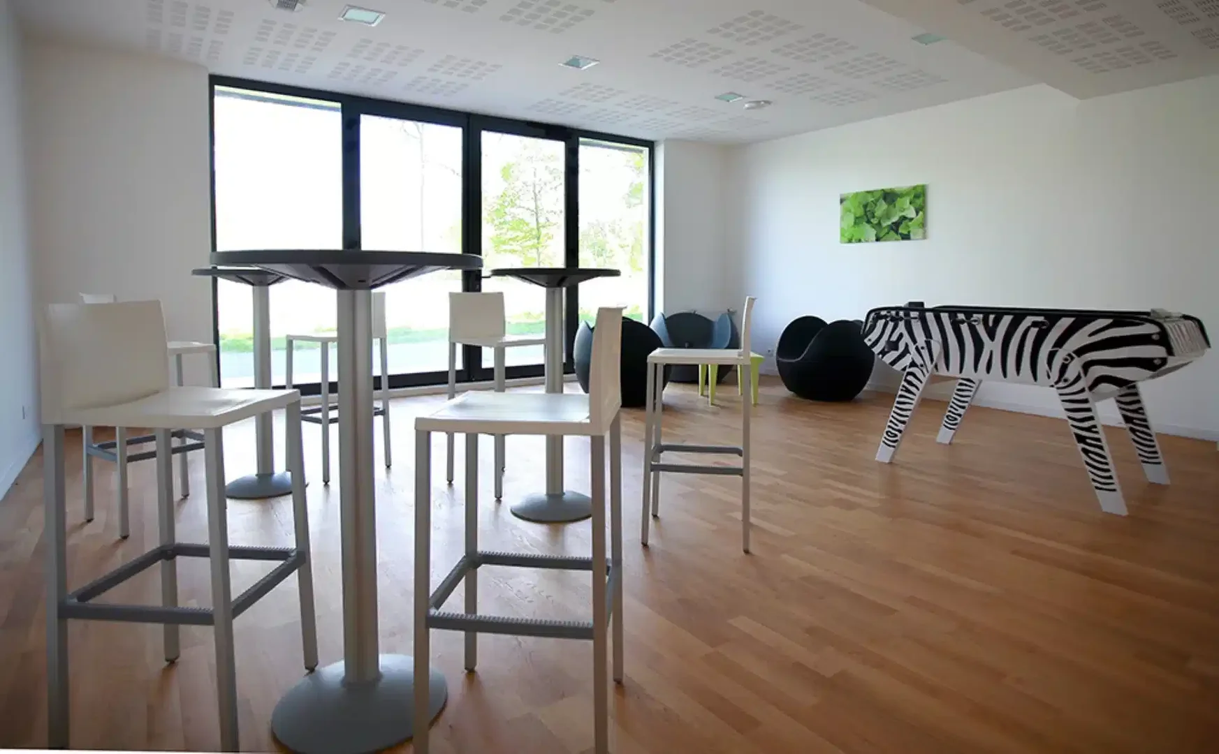 Studio moderne pour étudiants avec toutes les commodités dans 