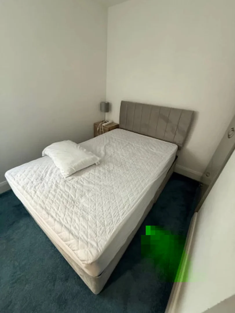 'de modern olanaklara sahip öğrenci dostu oda
