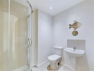 Privatzimmer in der Uttoxeter New Road, bild 17 von 49