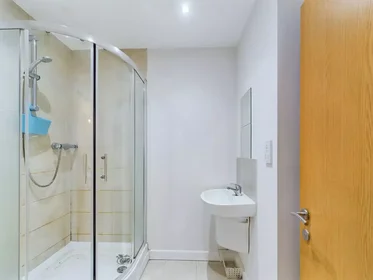 Privatzimmer in der Uttoxeter New Road, bild 36 von 49