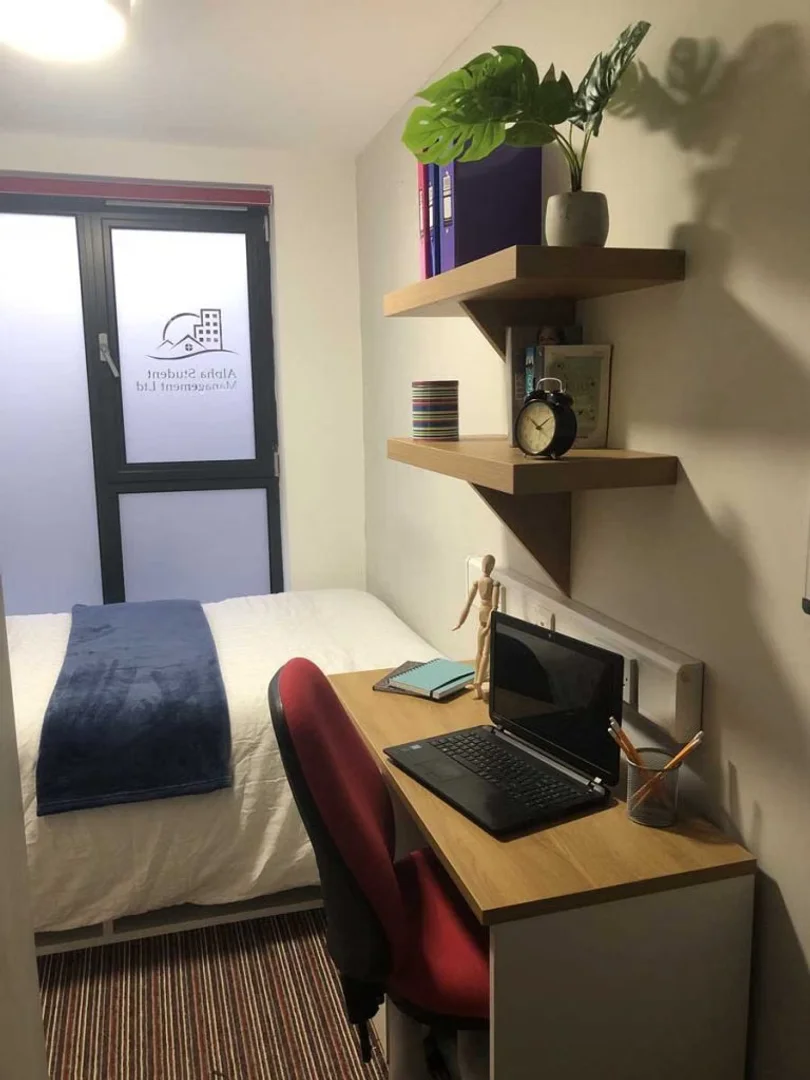 Room for rent in student apartment in , fully furnished