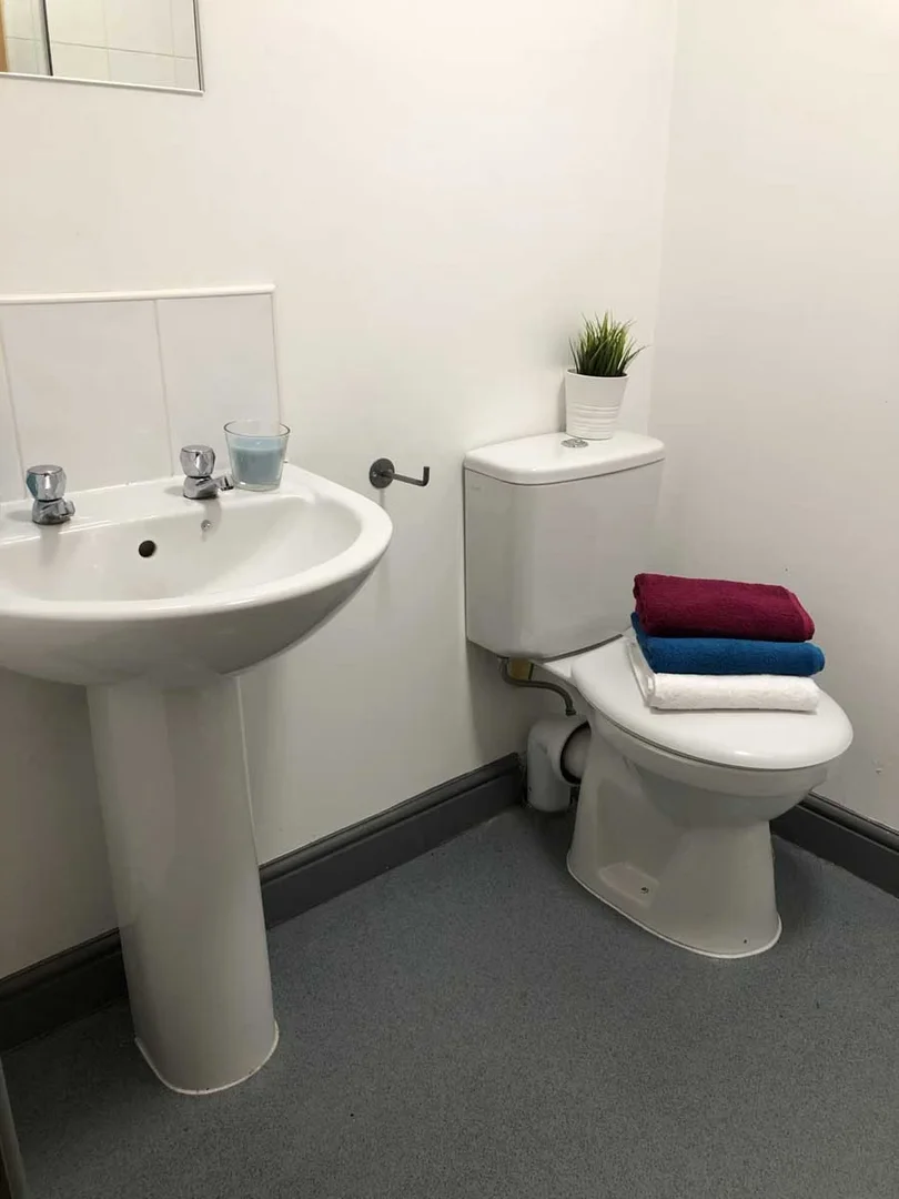 Budget-friendly student room close to campus in 