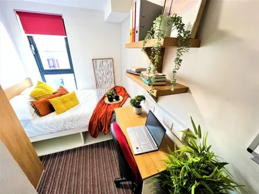 Private room at Stockton Road, image 1 of 15