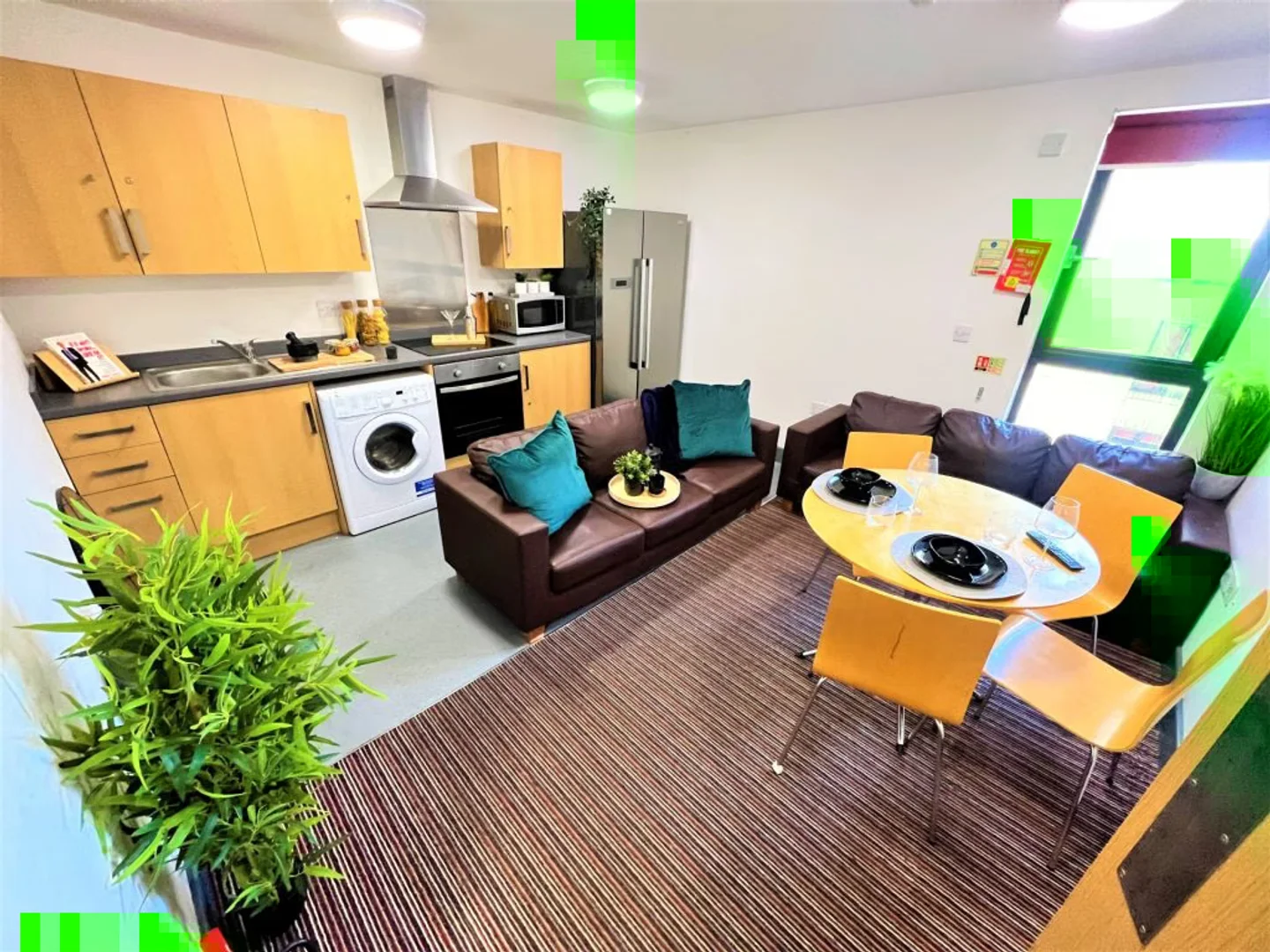 Affordable room for students with ample lighting in