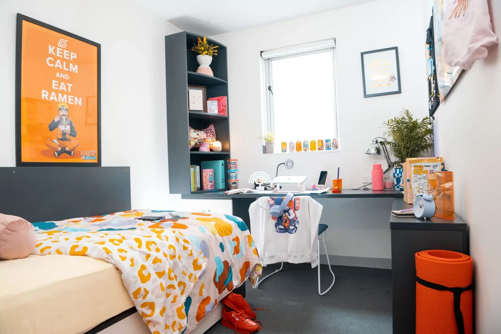 Chambre confortable pour étudiants disponible dans