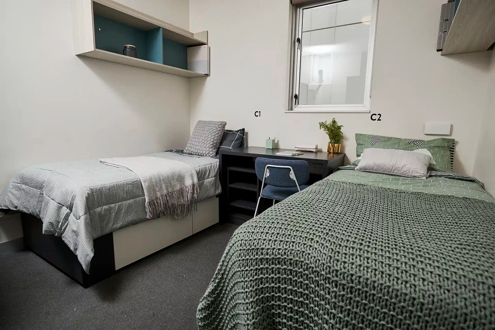 Chambre abordable pour les étudiants avec un bon éclairage dans