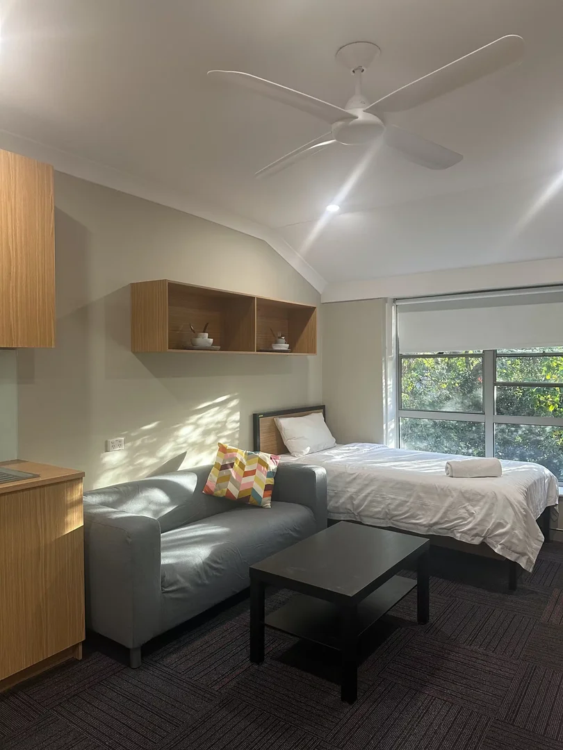 Affordable room for students with ample lighting in 