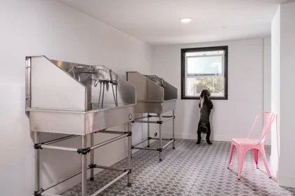 Habitación privada en North Los Robles Avenue, imagen 15 de 28