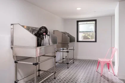 Studio at North Los Robles Avenue, image 16 of 30