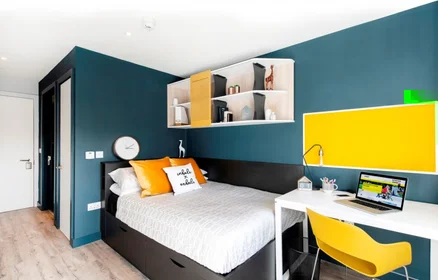 Stanza privata in Western Road, immagine 1 di 10